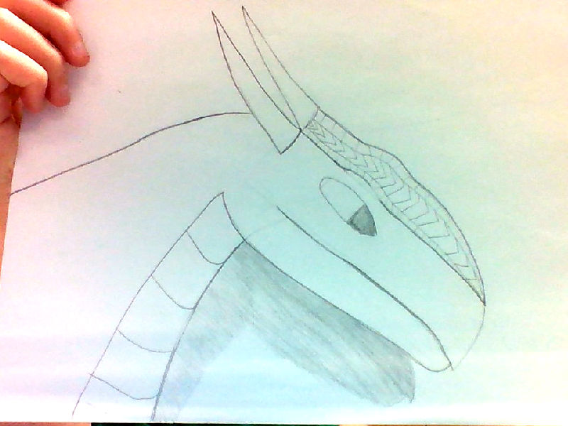 File:3D dragon step 4.jpg