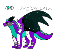 2020 07 11 Kleki-2.png