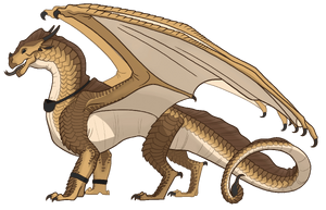 Armadillo fan ref Lucky.png