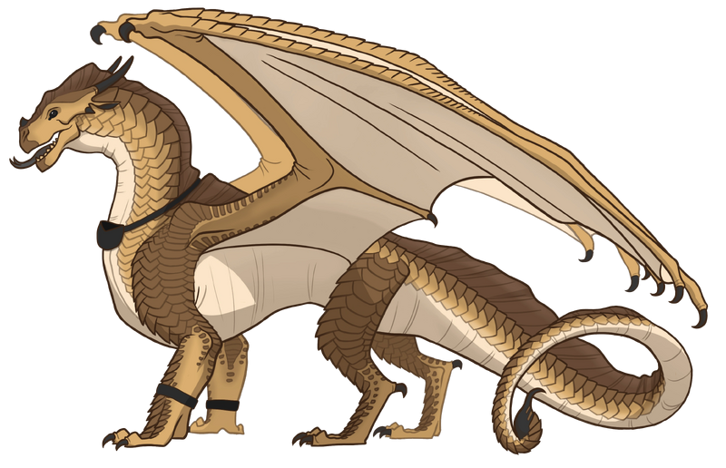 File:Armadillo fan ref Lucky.png