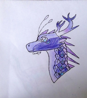 WIN 20200717 07 13 18 Scan.jpg