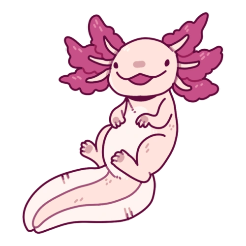 File:Albino-axolotl-19.png