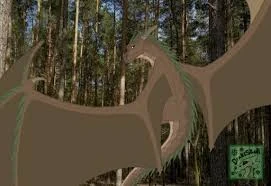 File:Profile pic?.jpg