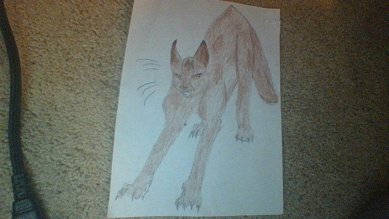 File:Whywhywhywhywhywhq wxkw rcur.jpg