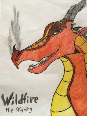 Wildfire headshot.jpg