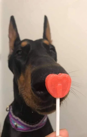 I’m not sure whoes dog this is.jpg