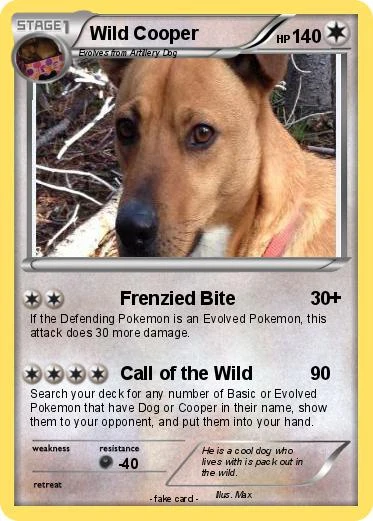 File:Wild Cooper Card.jpg