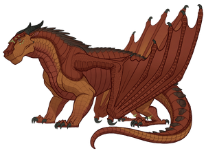 Ибис референс.png