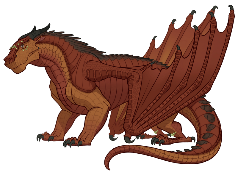 File:Ибис референс.png