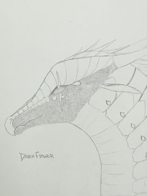 DarkFlower.jpeg