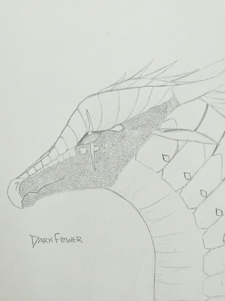 File:DarkFlower.jpeg