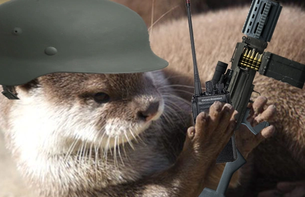File:Otter soldier.png