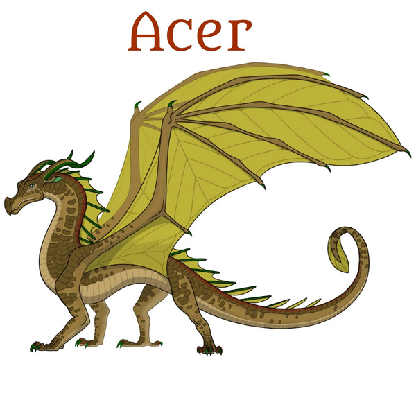 File:Acer.jpg