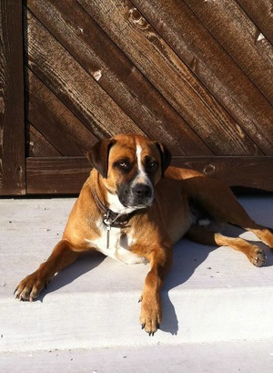 Percy! I miss you =c.png