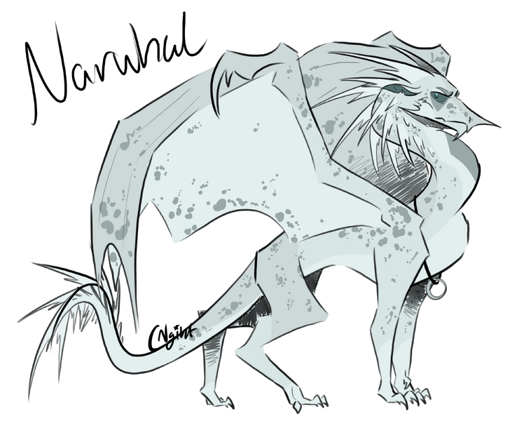 File:45 Narwhal CCRR.png