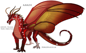 Anatis Ref.png