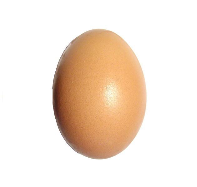 File:Egg.jpg