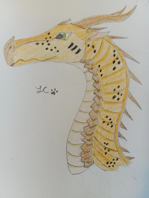 Amber by LynxCrescent.jpg