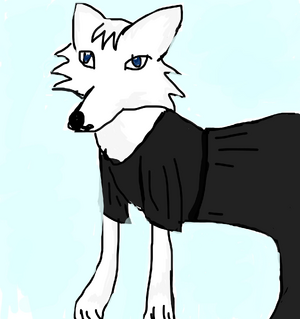 Arcticfox.jpg