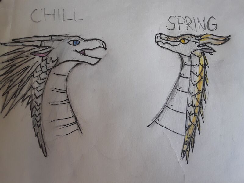 File:20200907 130153.jpg