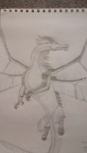 IMG 20200111 210319.jpg