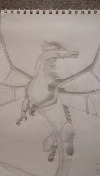 File:IMG 20200111 210319.jpg