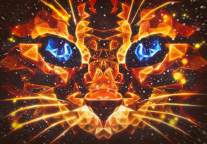 File:Awesome kitty.jpg