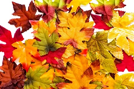 File:A1cxVJVbdoL. AC SX466 .jpg