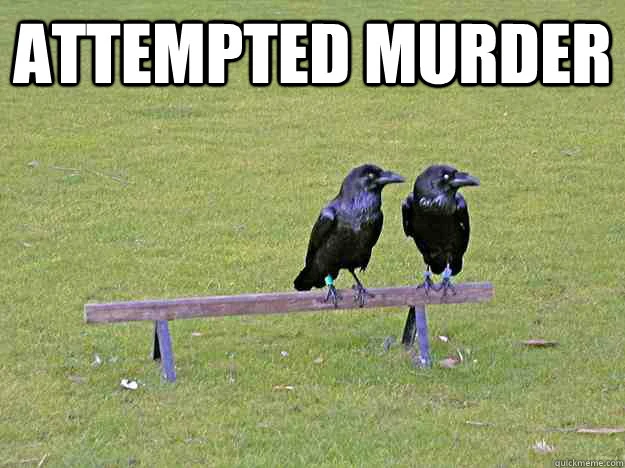 File:Attempted Murder Crows.jpg