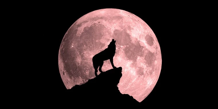 File:Wolf-blood-moon-today-main-190115-03 05bb979ca0a0b5a09bf3fca377bec87c.fit-760w.jpg