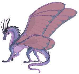 (Adult) Dusky Fan-Ref JA 1 - Luna.png