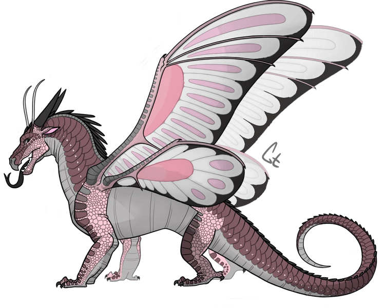 File:Pink hybrid.png