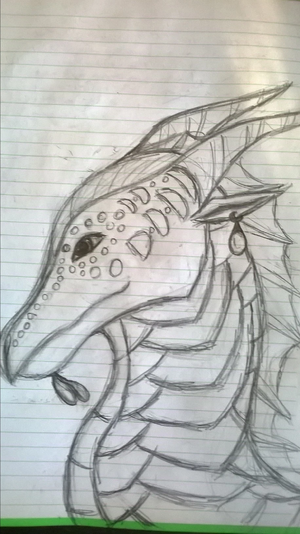 Wp 20170522 18 28 41 pro.jpg