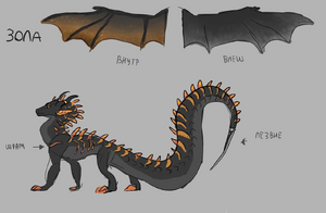 Photo 2022-06-12 19-51-58.jpg