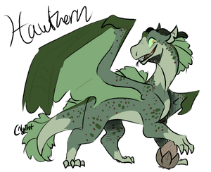 41 Hawthorn CCRR.png