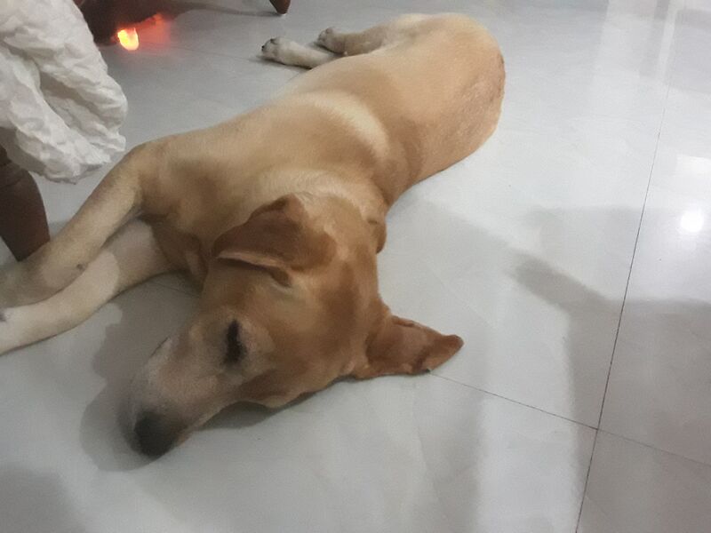 File:20200914 200914.jpg