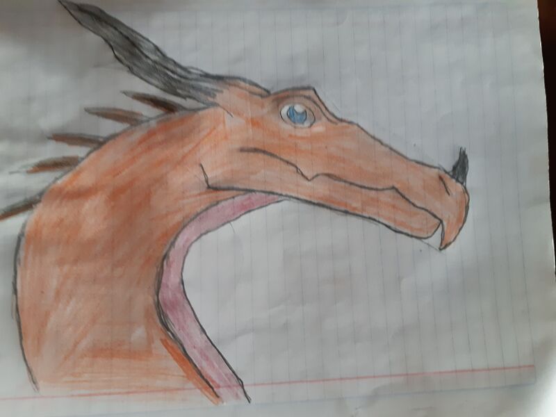 File:20200618 211229.jpg