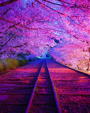 6b84ee5274b836fdb48ba632cda5b6fb (1).jpg