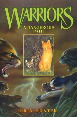 File:A Dangerous Path cover.png