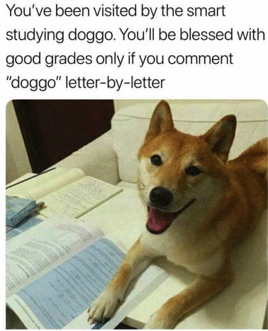 File:Youve-been-visited-by-the-smart-studying-doggo-youll-be-41763364.png