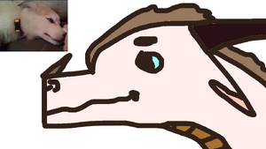 2021 11 04 0g2 Kleki.png