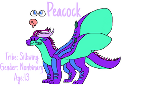 55586362-e78a-46fc-9496-2a318f3cf6c3 (2) (2).png