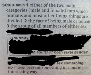 2020 09 16 Kleki (1).png