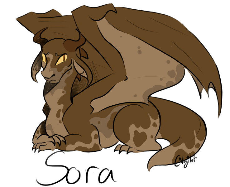 File:33 Sora CCRR.png