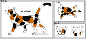 Wildpaw 1 (Fandom).png