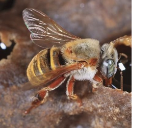 2026 02 24 0jj Kleki 10 3212.jpg.png