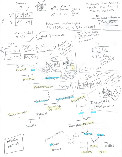 File:Animus Genetics.jpg