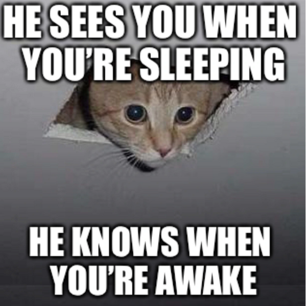 File:Ceiling cat (Santa??).jpeg