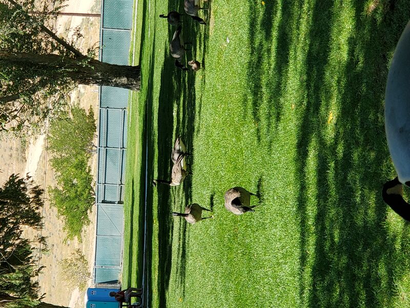 File:20200803 105014.jpg