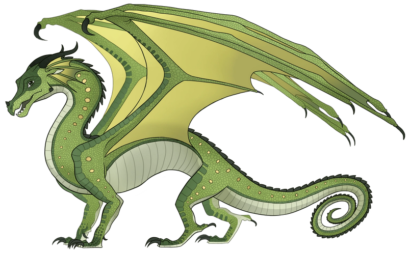 File:Референс Кокоса.png